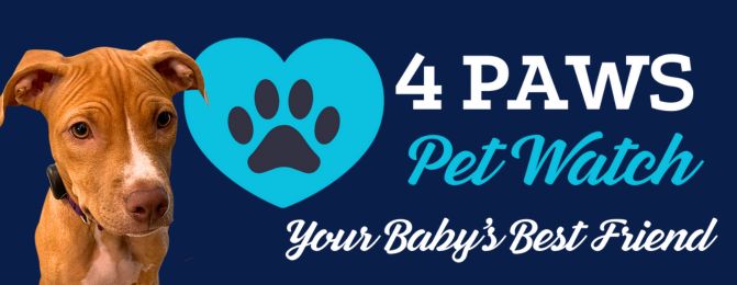 4 PAWS Pet Watch