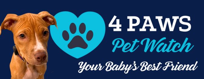 4 PAWS Pet Watch